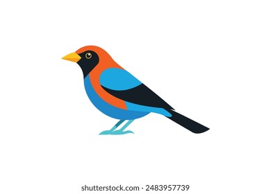 Tanager Vogel Vektorgrafik Bild Kunst Illustration