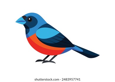 Tanager Vogel Vektorgrafik Bild Kunst Illustration