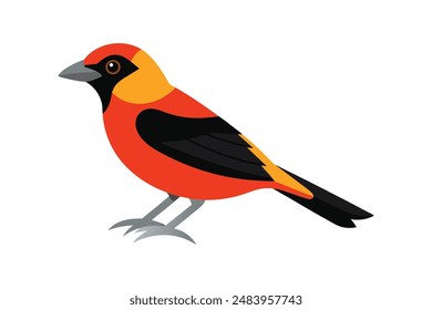 Tanager Vogel Vektorgrafik Bild Kunst Illustration