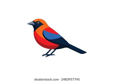 Tanager Vogel Vektorgrafik Bild Kunst Illustration