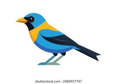 Tanager Vogel Vektorgrafik Bild Kunst Illustration