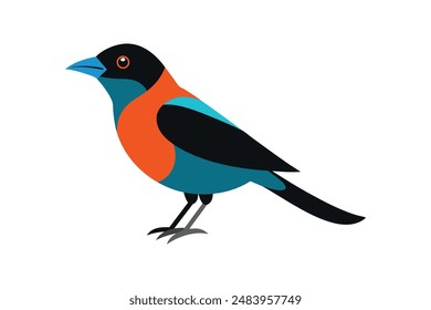 Tanager Vogel Vektorgrafik Bild Kunst Illustration