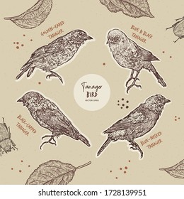 Tanager birds collection, hand draw sketch vector. Golden-eared, blue necked, blue and black and black capped tanager.