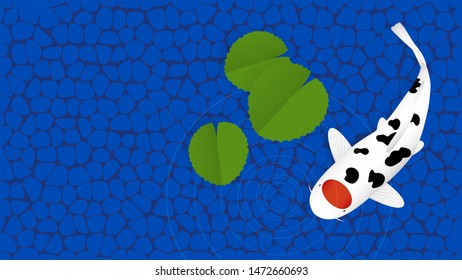 Tancho Sanke Koi carp fish with lotus leaves in pond background illustration
