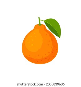 Tangelo Minneola Honeybell citrus fruit with leaf. Vector flat illustration isolated on white background