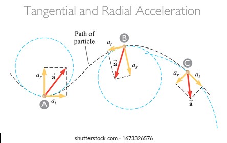 Tangential and Radial Acceleration. The motion of a particle along an arbitrary curved path. Physics