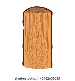 Tangential section of the trunk. Cross section of tree trunk. Vector illustration isolated on white background.