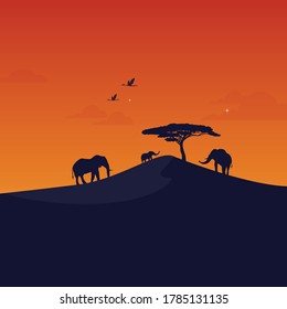 Tangerang Indonesia, 28 July 2020. Awsome Silhoutte Elephant in Wildlife