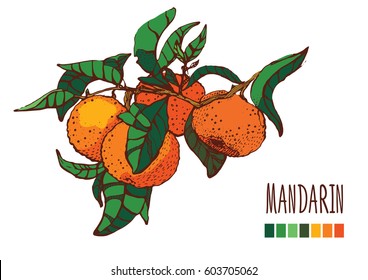   tangerine branch,handmade graphics