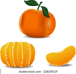 Tangerine Cartoon Vector Illustration Set