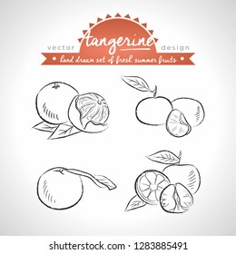 Tangerine Collection of fresh fruits with leaf. Vector illustration. Isolated	