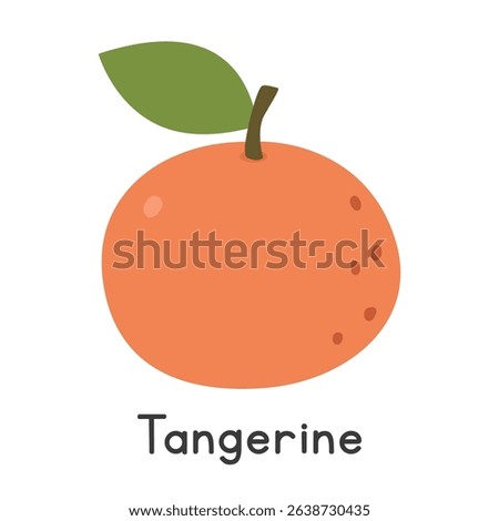 Tangerine flat vector illustration. Orange tangerine cartoon clipart style isolated on white background. Common and Citrus fruit concept