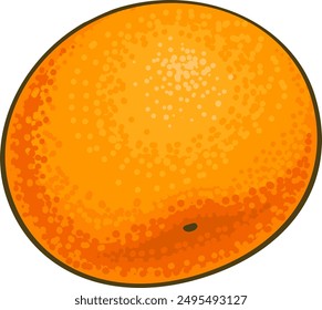 Illustration Détaillée Couleur Fruit De Tangerine.