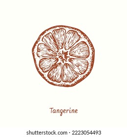 Trozo de fruta de mandarina. Dibujo de garabatos de tinta al estilo de madera