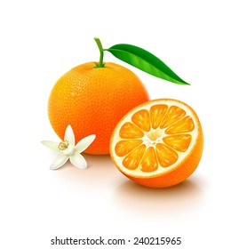 Tangerine fruit with half and flower on white background 