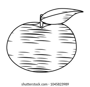 tangerine fruit icon
