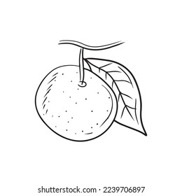 Tangerine fruit on branch with leaf in black isolated on white background. Hand drawn vector sketch illustration in doodle simple outline style. Fresh citrus fruit, vitamin C, juice, healthy lifestyle