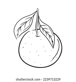 Tangerine fruit on branch with two leaves in black isolated on white background. Hand drawn vector sketch illustration in doodle simple outline style. Fresh citrus fruit, vitamin C, juice, healthy.