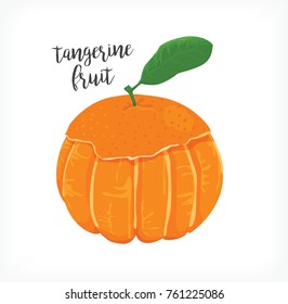 Tangerine Fruit Peeled vector