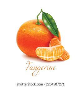 Tangerine mit Leaf und Scheiben. Mandarin-Realistische Elemente für Etiketten von Cosmetic Hautpflege Food Product Design. Vektorisolierte Illustration