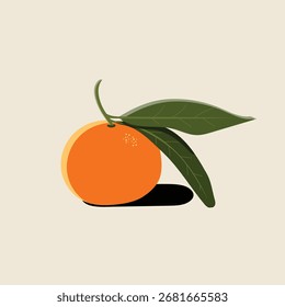 Mandarine mit Blättern auf neutralem Hintergrund. Sauber, grafischer Stil mit einem subtilen Schatten, auf einfarbigem, hellem, neutralem Hintergrund.