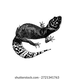 Tangerine Leopard Gecko, präsentiert seine markante Fleckenhaut, strukturierten Körper und ausdrucksstarke Augen. Perfekt für Tierwelt, Reptilien, exotische Haustiere und Designs zum Thema Natur.