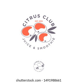 Tangerine logo. Juice and detox logotype. Ripe organic fruit emblem.
