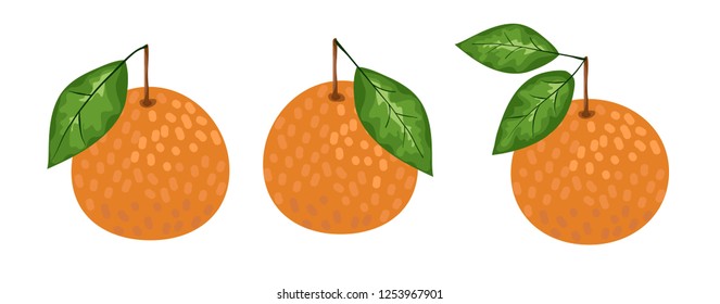 Tangerine or mandarin orange citrus fruit with leaf flat vector color icon for apps and websites