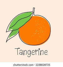 Tangerine, mandarin, orange continuous line icon. Citrus fruit one line hand drawn silhouette. Organic, vegan concept. Modern minimal style linear logo sign. Isolated vector scribble simple logotype