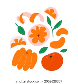 Tangerine Or Mandarin, Peeled Clementine Fruit Slices With Leaves, Hand Drawn Doodle Illustration Isolated On White, Drawing Collection, Vector Clip Art Collection