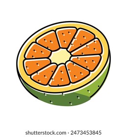 icône tangerine orangecut couleur  Image vectorielle. signe tangerine orangecut. illustration de symbole isolée