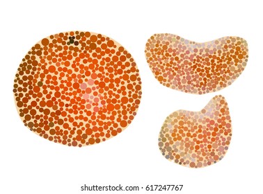 Tangerine in a peel with slices
