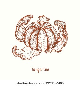 Tangerine peeled fruit. Ink doodle drawing in woodcut style