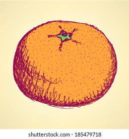 Tangerine sketch, vector vintage background