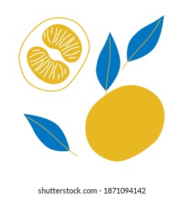 Tangerine and tangerine slice cartoon flat vector illustration. Fruits abstract illustration for your design. Yellow summer fruits on white background. Tangerine simple hand drawn.