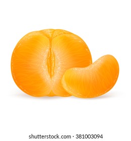Tangerine slice  isolated on white background. Vector illustration for decorative poster, emblem natural product, farmers market. Perfect for packaging design of cosmetics and food.