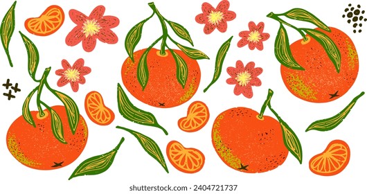 Tangerine, slices, flowers and leaves. Plant texture graphic elements. Vector set, clipart, bundle