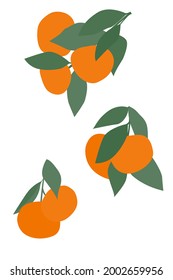 Pisos de mandarina sobre un fondo beige. Diseño moderno para papel, interior, cubierta y más. Objeto artístico minimalista.