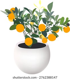 Tangerine tree in a pot, vector.