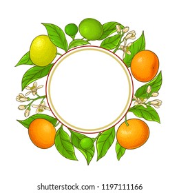 tangerine vector frame