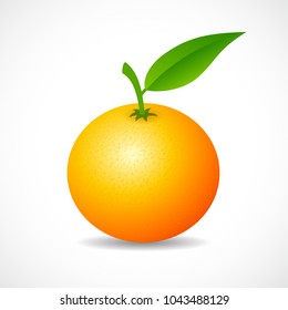 Tangerine vector icon illustration isolated on white background