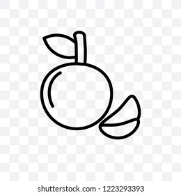 Tangerine vector linear icon isolated on transparent background, Tangerine transparency concept can be used for web and mobile