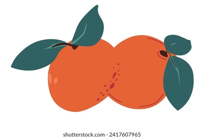 Tangerines low calorie exotic tropical fruit for healthy eating. Organic, ripe citrus mandarines for making delicious drinks, desserts. Berries with leaves. Isolated icon vector in flat style