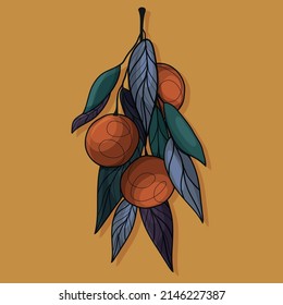 Tangerines on a branch. Vitamins.  Delicious fruit for New Year and Christmas. Botanical, vector illustration. Healthy food. Citrus.