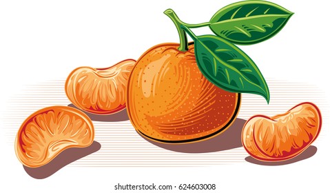 tangerines on a white background.