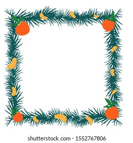 
tangerines and spruce branches. elements for christmas and new year cards