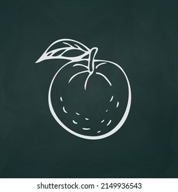 Tangerines thin white lines on a textural dark background - Vector illustration