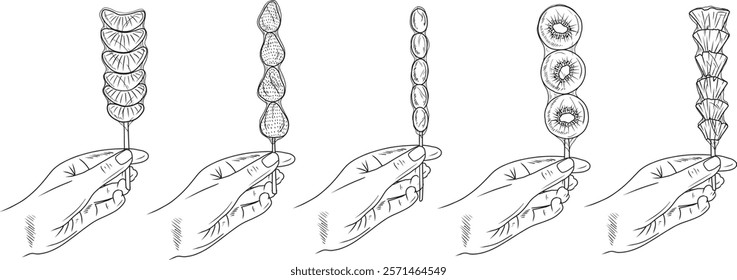 Tanghulu sweet candied fruits on stick holding in hand. Tangerine, pineapple, kiwi, strawberry and grape sugar syrup coated. Hand drawn vector sketch illustration in vintage line art, street food