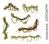 Tangled Set Of Lianas, Intertwining And Climbing Through The Forest, Creating A Natural Web Of Vines That Provide Support And Habitat For Various Organisms. Cartoon Vector Illustration