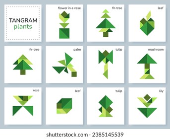 Tangram puzzle game for kids. Geometric colorful collection with various isolated plants, flowers, leaves, trees. isolated Tangram icons on white backdrop. Vector illustration